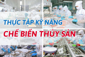 QUẢN LÝ KHO PHÂN PHỐI HÀNG HÓA