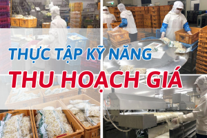 QUẢN LÝ KHO PHÂN PHỐI HÀNG HÓA