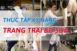 QUẢN LÝ KHO PHÂN PHỐI HÀNG HÓA