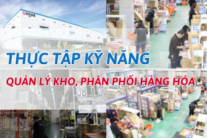 QUẢN LÝ KHO PHÂN PHỐI HÀNG HÓA